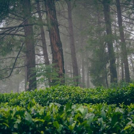 Himalaya Mount View Resort Kausani Exteriör bild